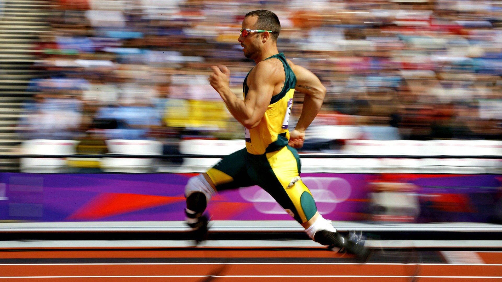 奥运备战科学训练成效显著，备战奥运会训练计划